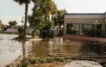 A flooded street in Houston, Texas with palm trees and a building nearby.