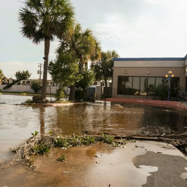 A flooded street in Houston, Texas with palm trees and a building nearby.