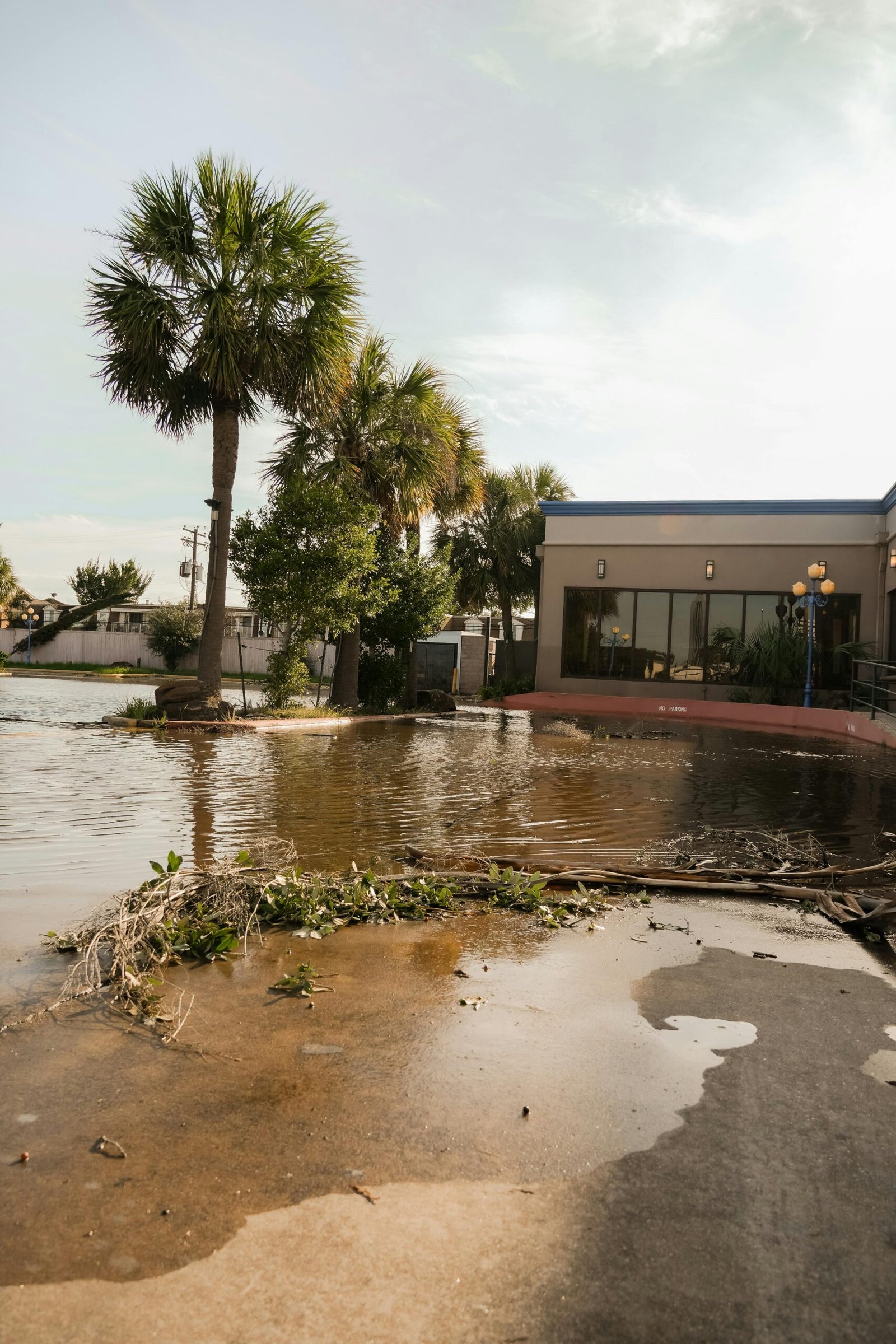 A flooded street in Houston, Texas with palm trees and a building nearby.